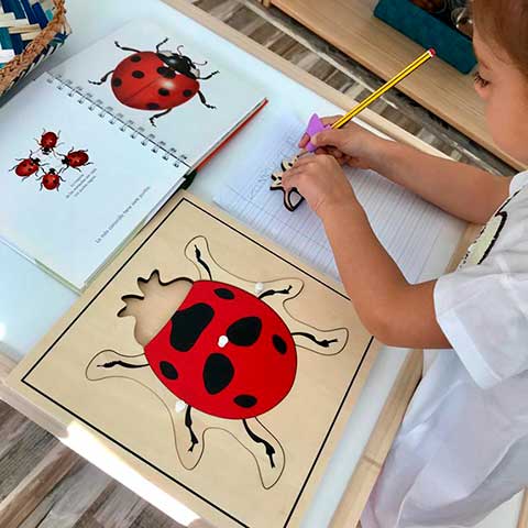 Los puzzles Montessori